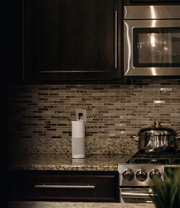 Smart Switches for Alexa | Caseta Wireless by Lutron